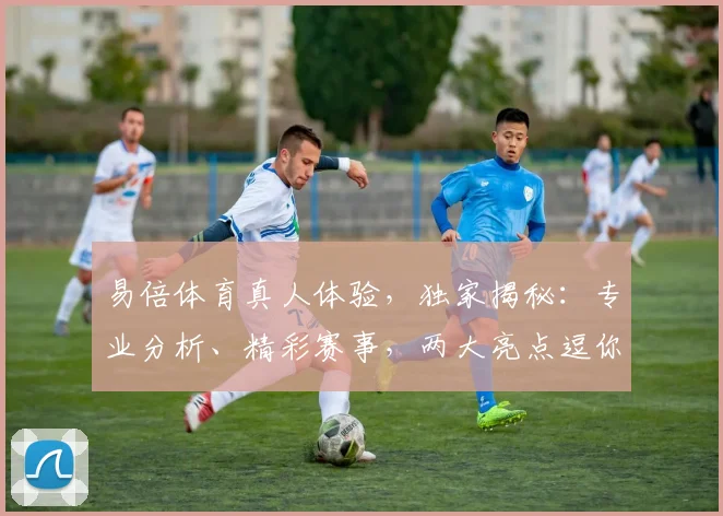 易倍体育真人体验，独家揭秘：专业分析、精彩赛事，两大亮点逗你笑