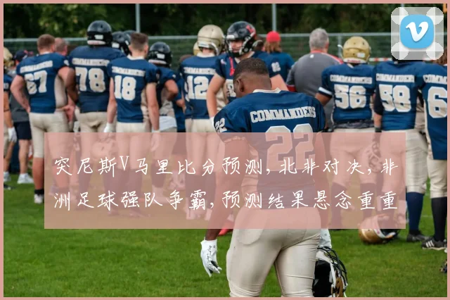 突尼斯V马里比分预测,北非对决,非洲足球强队争霸,预测结果悬念重重,谁将问鼎