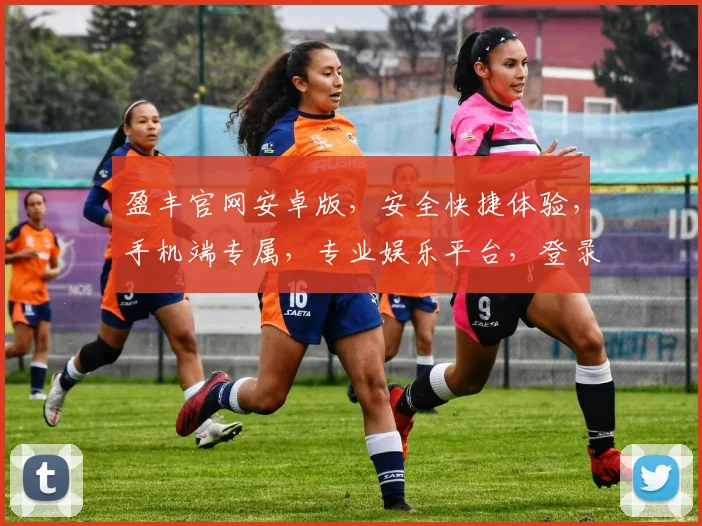 盈丰官网安卓版，安全快捷体验，手机端专属，专业娱乐平台，登录即享福利
