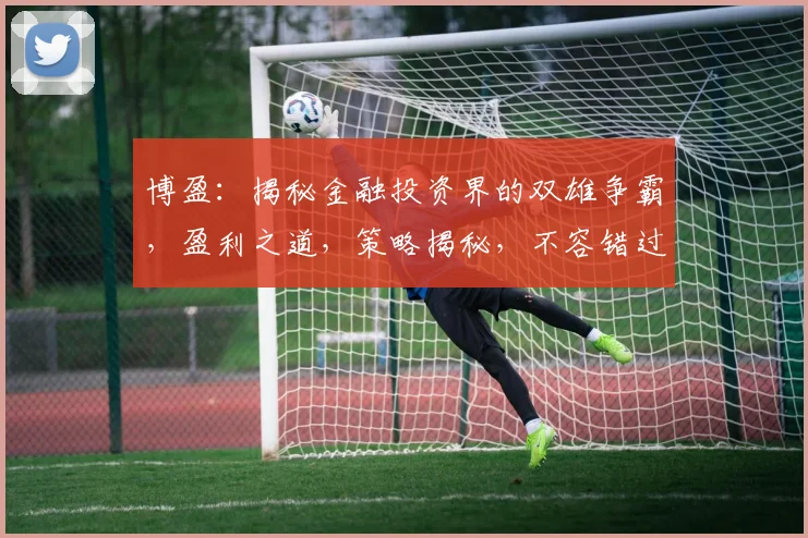 博盈：揭秘金融投资界的双雄争霸，盈利之道，策略揭秘，不容错过